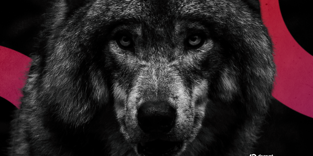 Is Europe safe from 'lone wolf' terrorism? - on the frontline