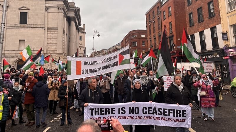 Irish min. blasts Israeli strikes in Lebanon, calls for truce