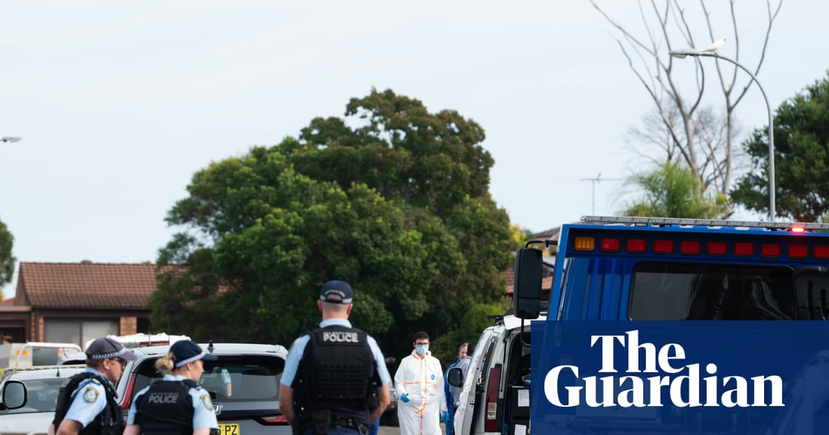 An Australian indie horror developer has spent three years waiting for Steam approval on a game built with Valve's own Source engine — a delay that raises structural questions about the world's largest PC games marketplace.