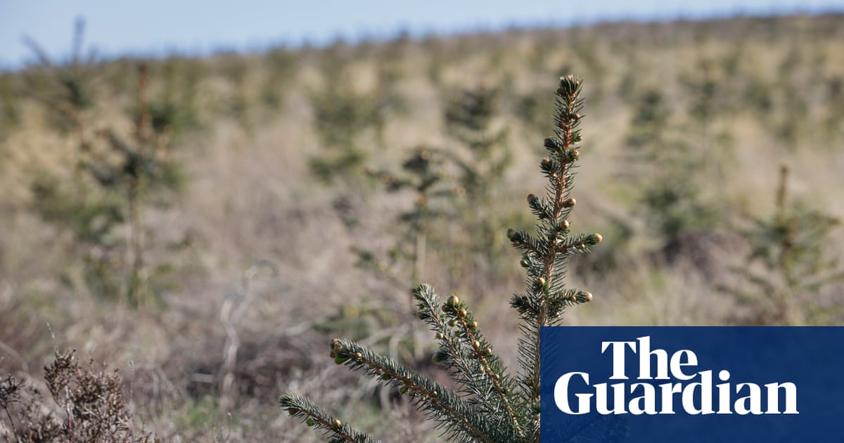 England's vineyards have quietly built something remarkable: a wine industry that now punches well above its weight in global competitions, turning a once-marginal sector into one of the country's more compelling agricultural export stories