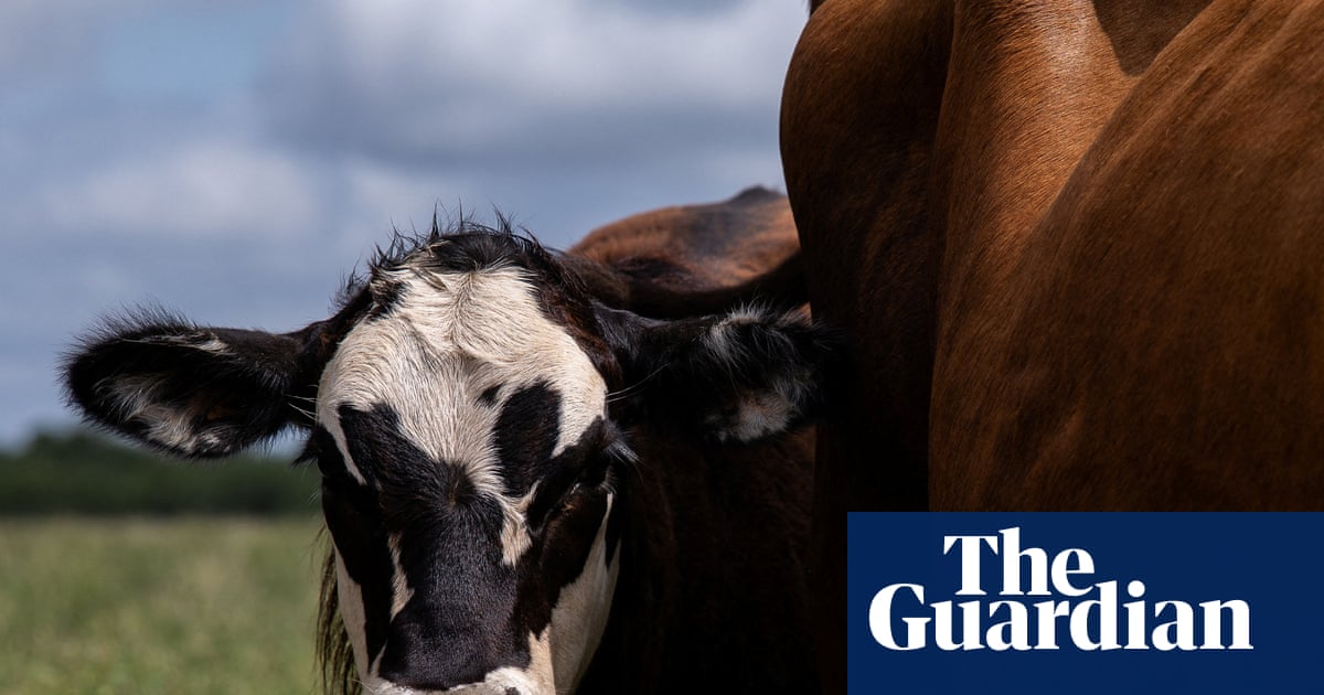 UScientists charged with tracking infectious disease threats have been barred from direct engagement with the World Health Organization, just as a Hantavirus outbreak on a cruise ship in the Atlantic reached 13 confirmed cases.